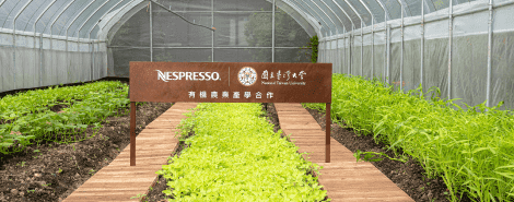 Nespresso與台大合作的有機農場